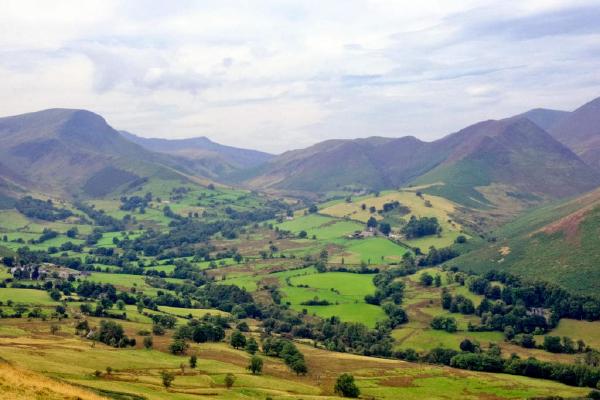 A wide view over a valley surrounded by forested hills, with patchwork fields in varying shades of green and gold stretching across the valley floor. A dirt path winds through the foreground on the lower left, and scattered tree clusters break up the open fields. Distant mountains recede into haze under a soft, overcast sky.