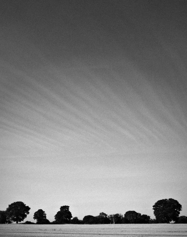 Black and white photograph of a wide open sky streaked with faint parallel cloud formations above a dark treeline and a pale field.